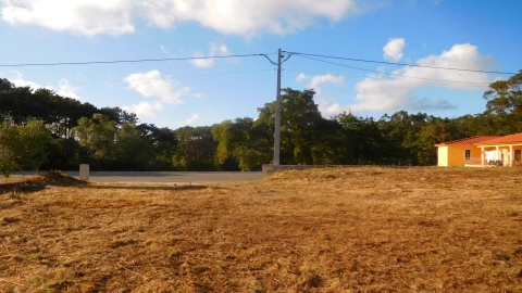 Terreno para Venda em Bajouca