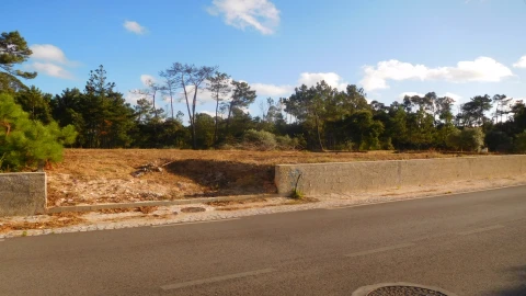 Terreno para Venda em Bajouca