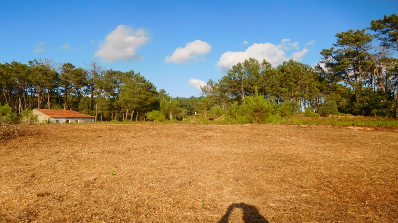 Terreno para Venda em Bajouca Foto 1