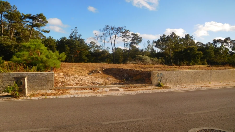Terreno para Venda em Bajouca Foto 11