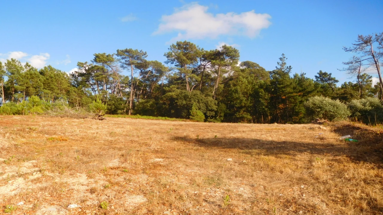 Terreno para Venda em Bajouca Foto 5