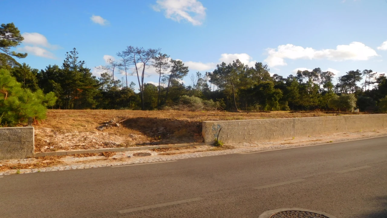 Terreno para Venda em Bajouca Foto 14
