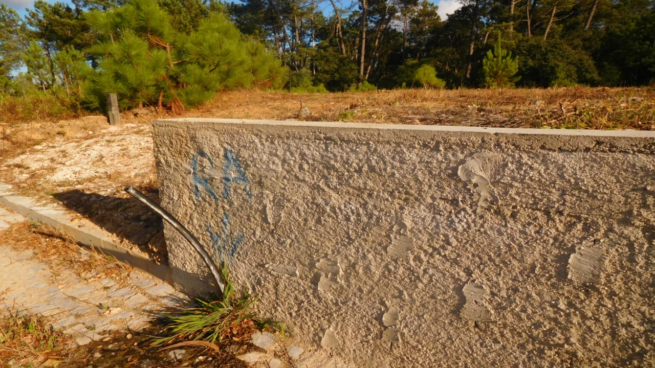 Terreno para Venda em Bajouca Foto 9