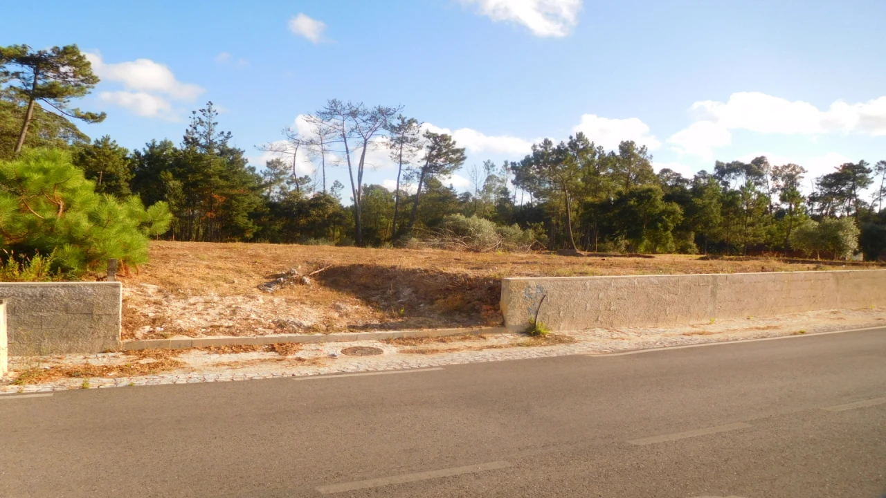 Terreno para Venda em Bajouca Foto 10