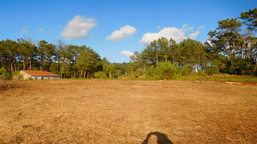 Terreno para Venda em Bajouca