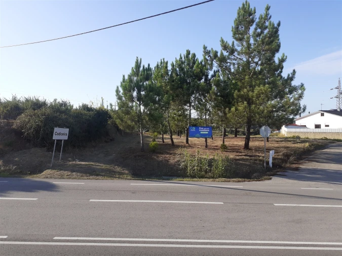 Terreno para Venda em Parceiros e Azoia Foto 3