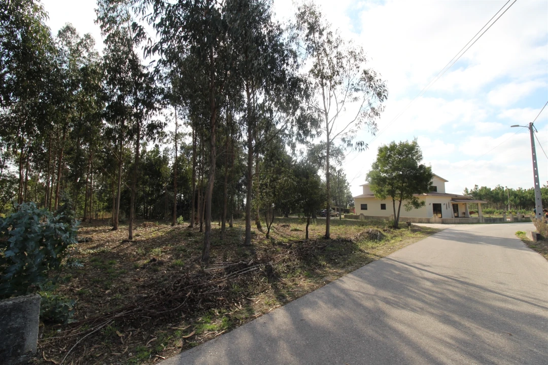Terreno para Venda em Monte Real e Carvide Foto 4