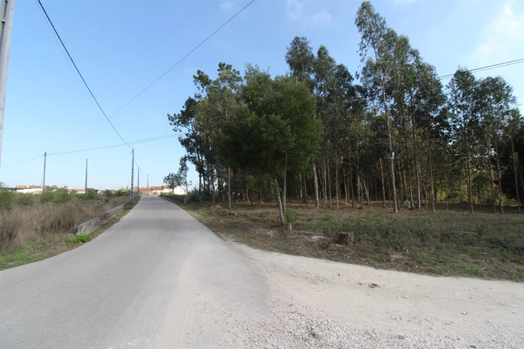 Terreno para Venda em Monte Real e Carvide Foto 2