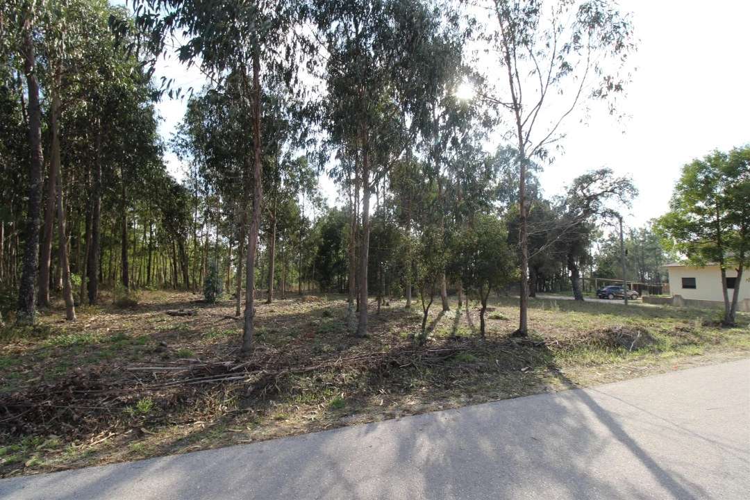 Terreno para Venda em Monte Real e Carvide Foto 3