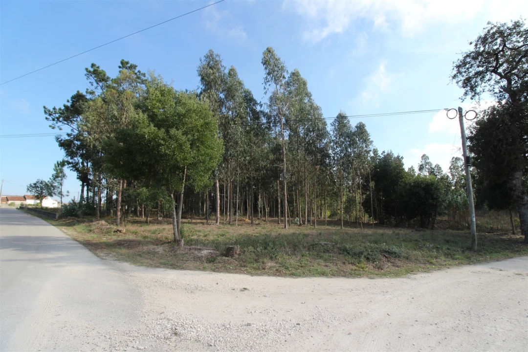 Terreno para Venda em Monte Real e Carvide Foto 1