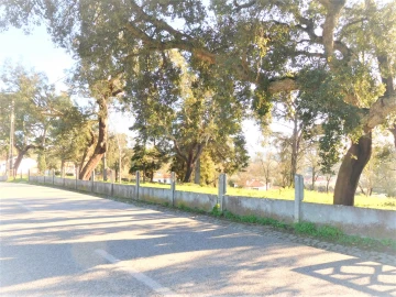 Terreno para Venda em Souto da Carpalhosa e Ortigosa