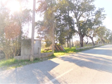 Terreno para Venda em Souto da Carpalhosa e Ortigosa