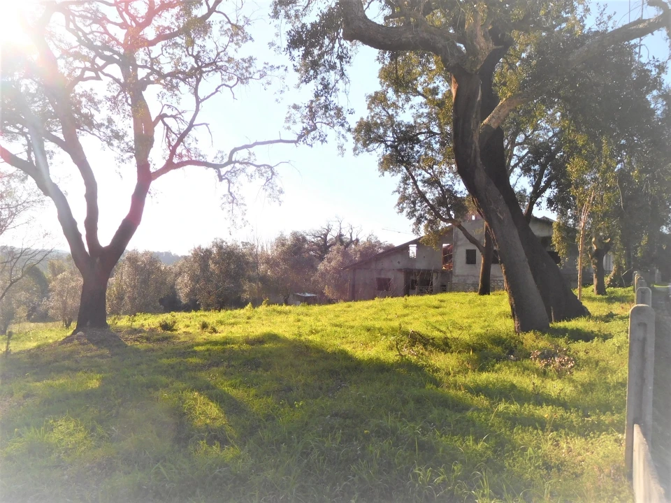 Terreno para Venda em Souto da Carpalhosa e Ortigosa Foto 2