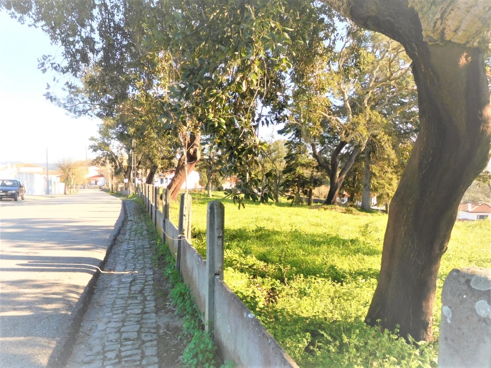 Terreno para Venda em Souto da Carpalhosa e Ortigosa Foto 3