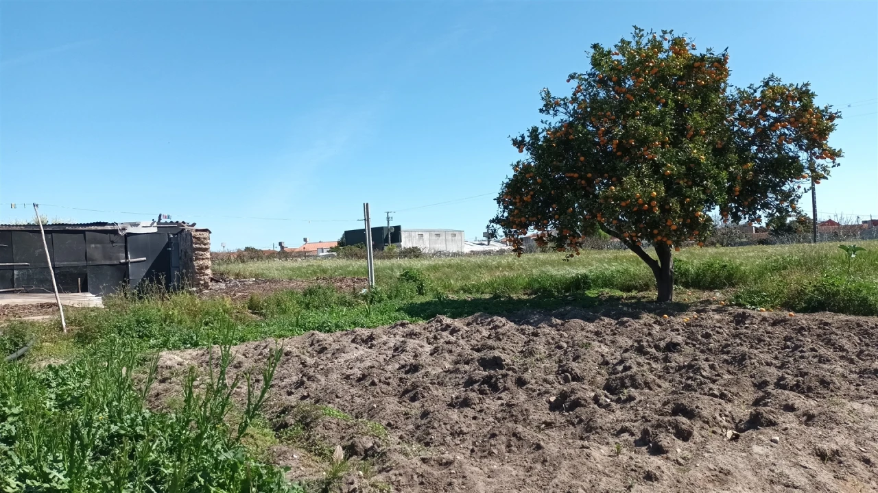 Terreno para Venda em Amor Foto 18