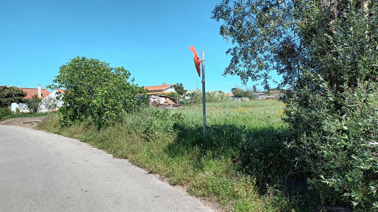 Terreno para Venda em Amor Foto 21