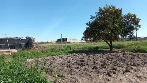 Terreno para Venda em Amor