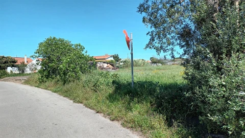 Terreno para Venda em Amor