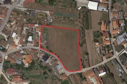 Terreno para Venda em Amor