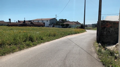 Terreno para Venda em Amor