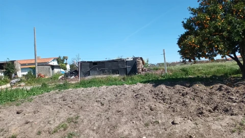 Terreno para Venda em Amor