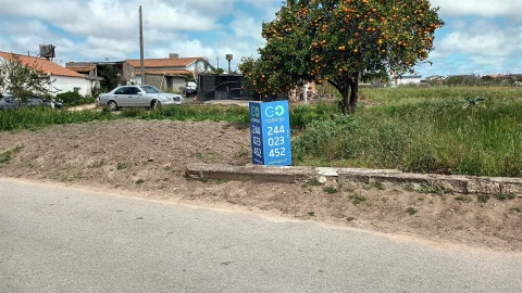 Terreno para Venda em Amor