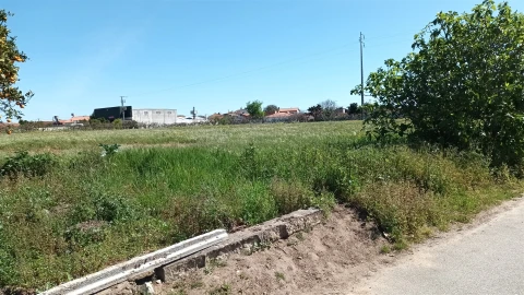 Terreno para Venda em Amor