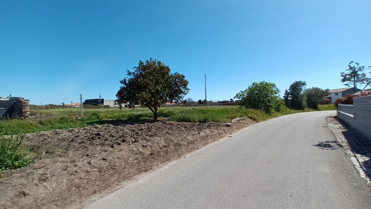 Terreno para Venda em Amor Foto 9