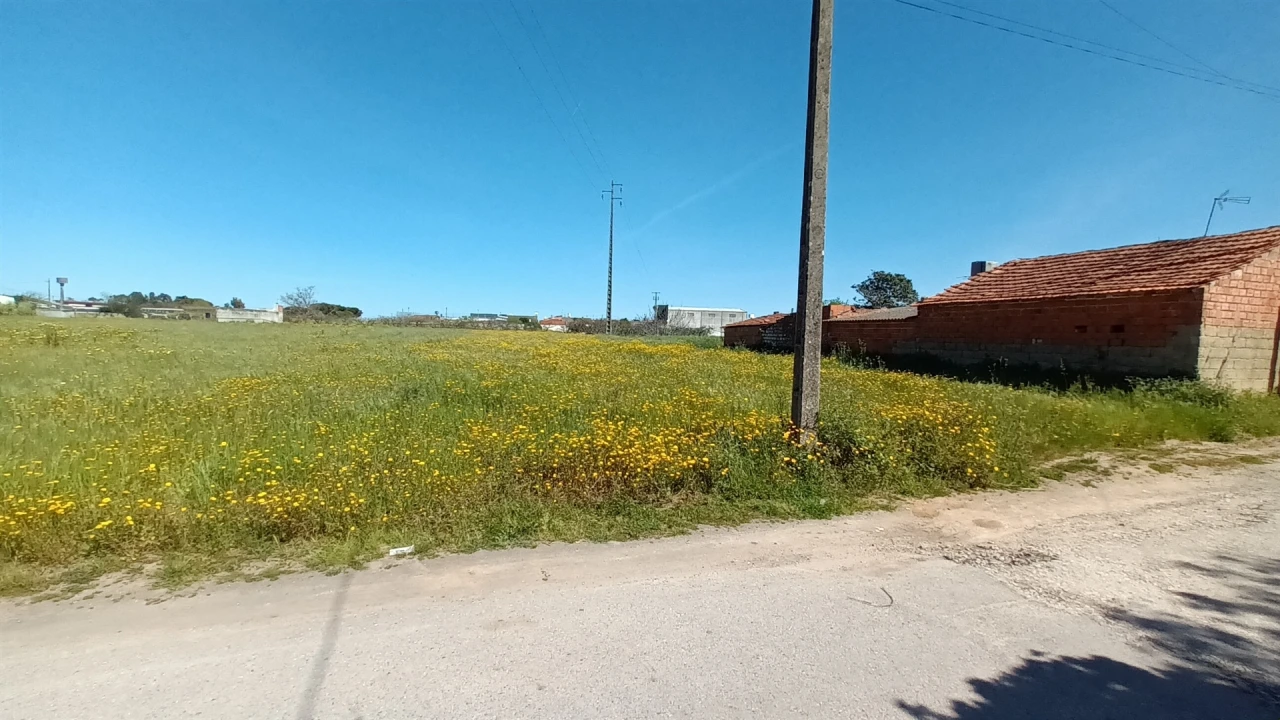 Terreno para Venda em Amor Foto 11
