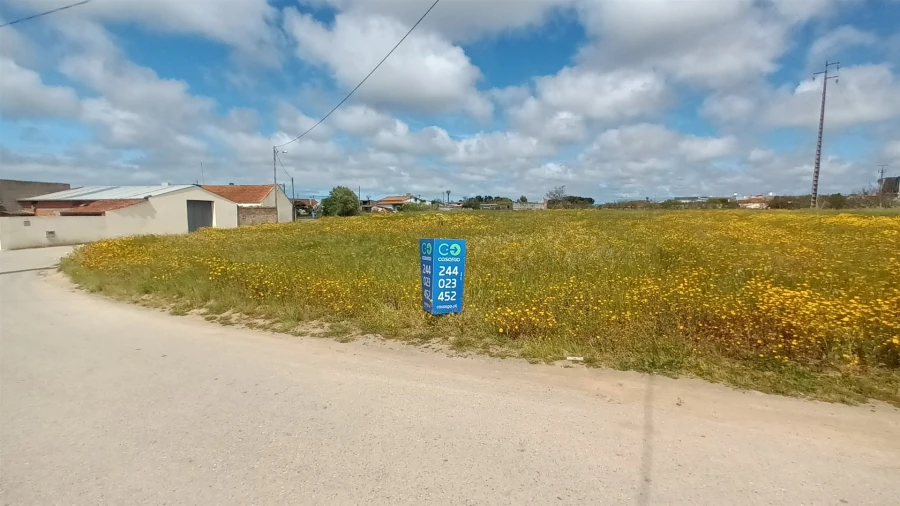 Terreno para Venda em Amor Foto 4