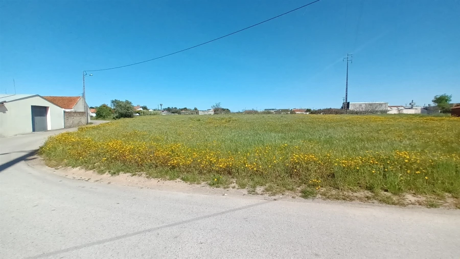 Terreno para Venda em Amor Foto 12