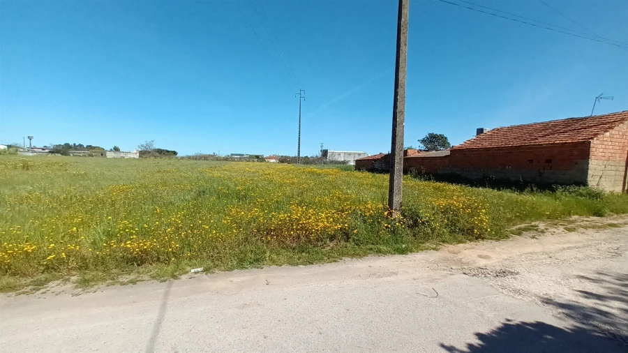 Terreno para Venda em Amor Foto 11