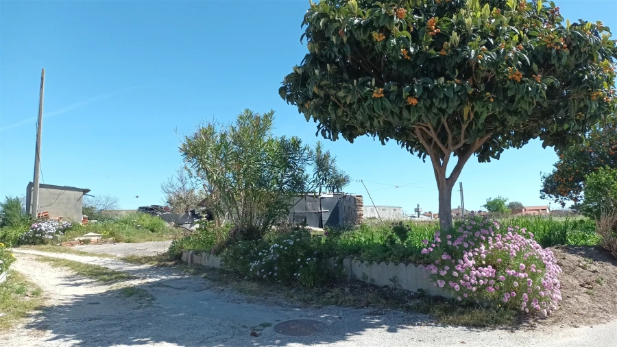 Terreno para Venda em Amor Foto 16