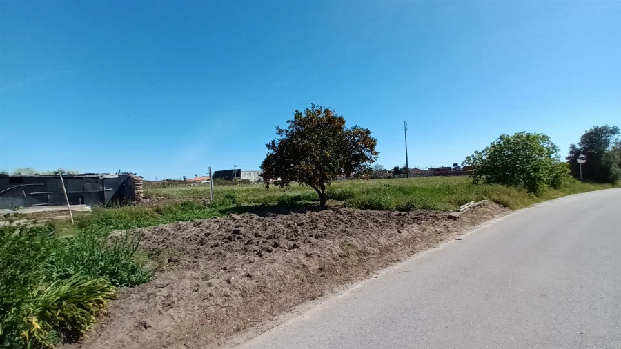 Terreno para Venda em Amor Foto 14