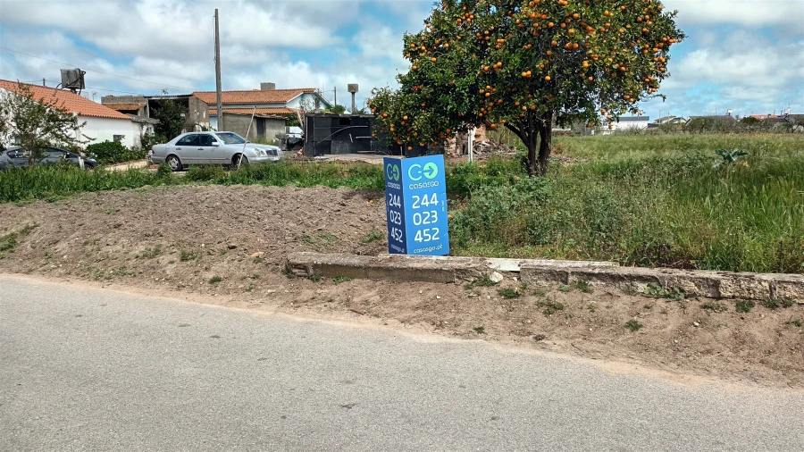 Terreno para Venda em Amor Foto 5