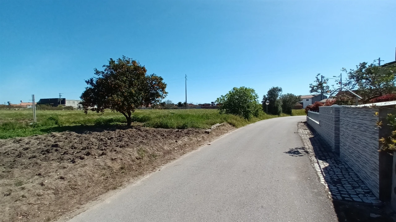 Terreno para Venda em Amor Foto 10