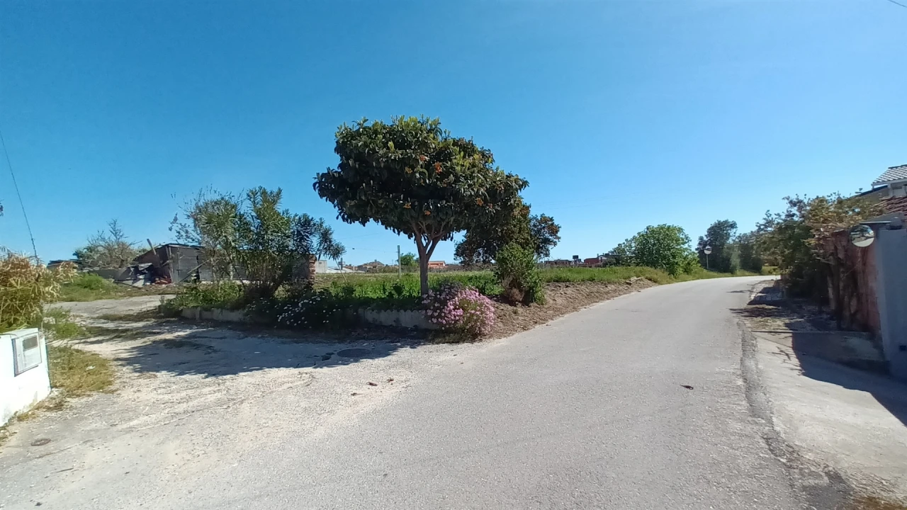 Terreno para Venda em Amor Foto 15