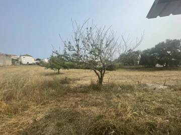 Terreno para Venda em Marrazes e Barosa