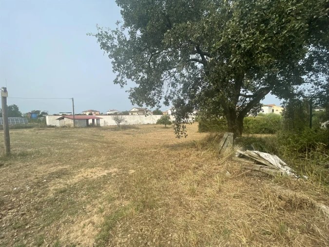 Terreno para Venda em Marrazes e Barosa Foto 3