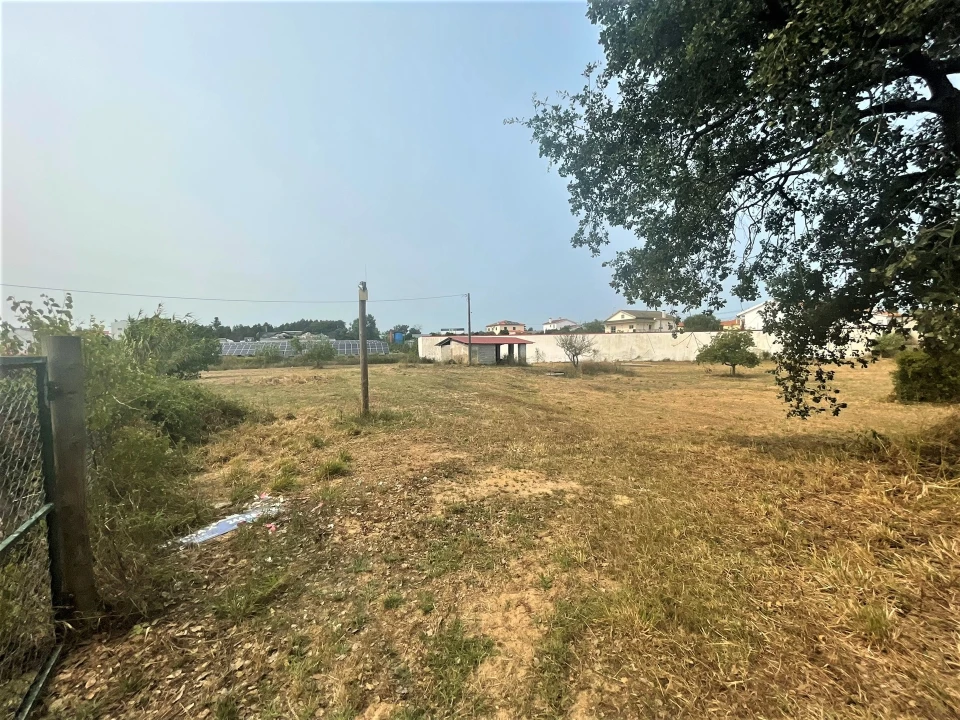 Terreno para Venda em Marrazes e Barosa Foto 2