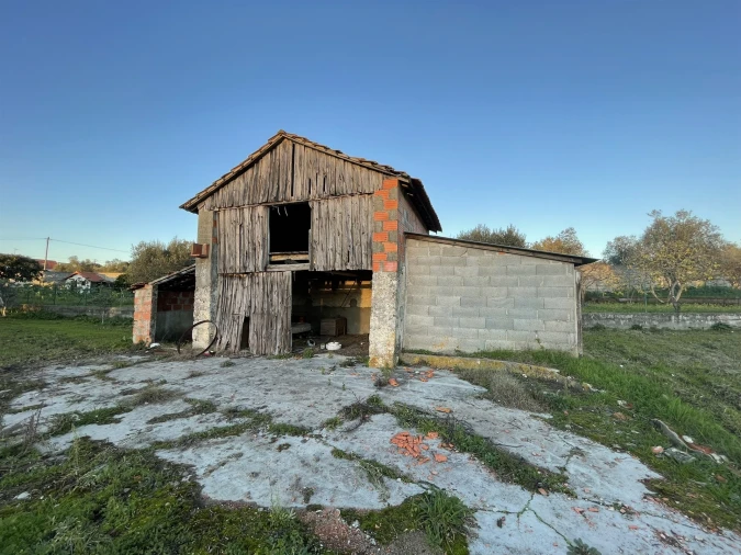 Moradia T3 para Venda em Gondemaria e Olival Foto 18