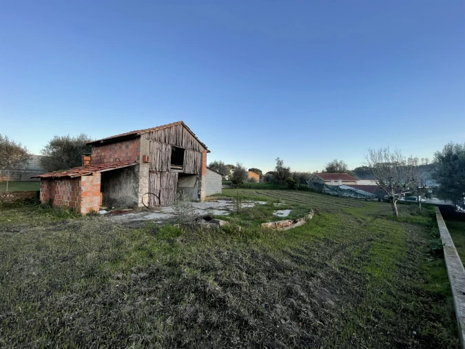 Moradia T3 para Venda em Gondemaria e Olival Foto 21