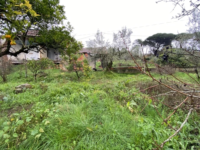 Moradia T0 para Venda em Santiago e São Simão de Litém e Albergaria dos Doze Foto 17