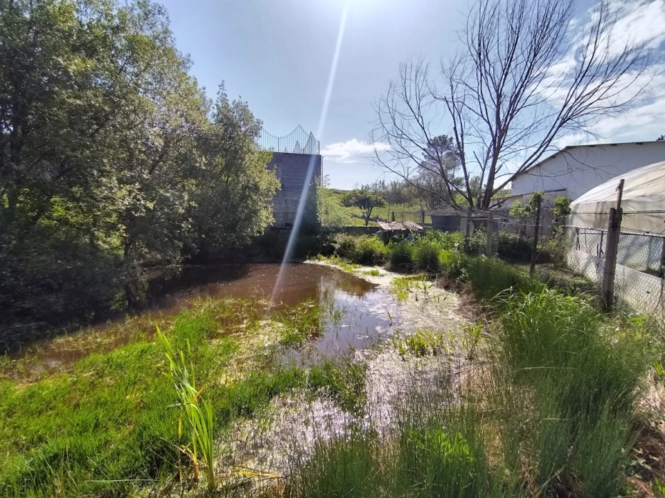 Moradia T4 para Venda em Matas e Cercal Foto 42