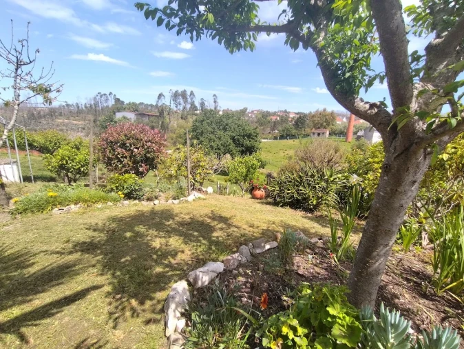 Moradia T4 para Venda em Matas e Cercal Foto 46