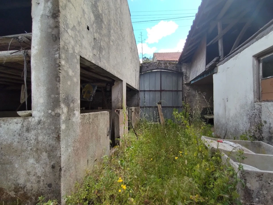 Moradia T4 para Venda em Gondemaria e Olival Foto 7