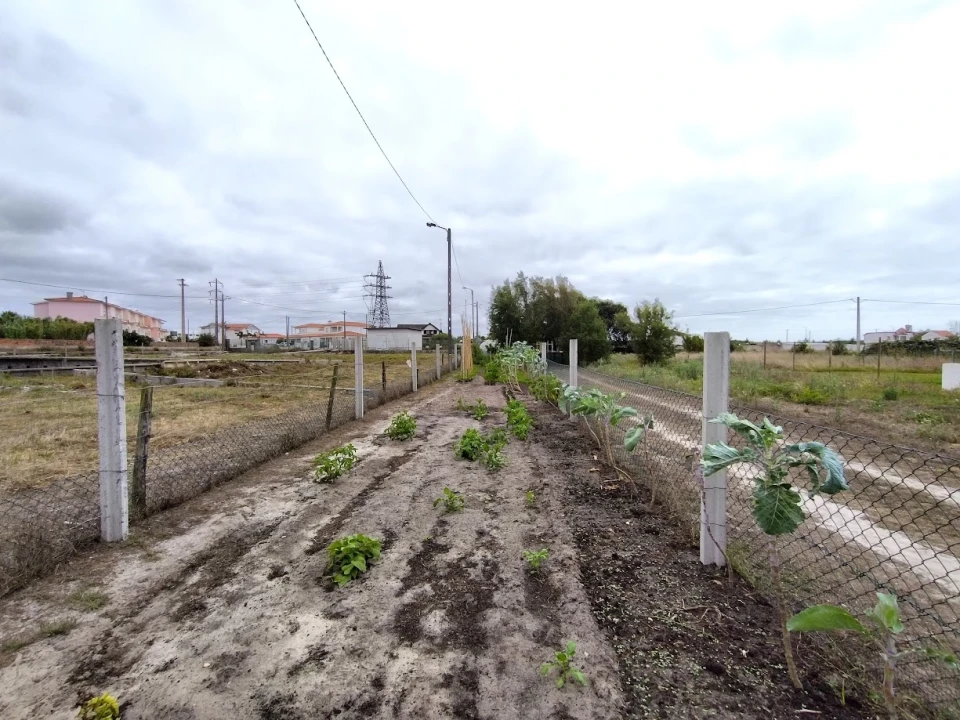 Moradia T2 para Venda em Vieira de Leiria Foto 30