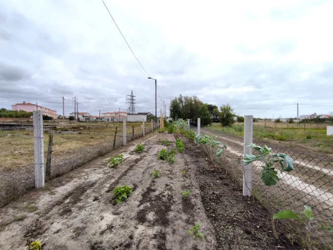 Moradia T2 para Venda em Vieira de Leiria Foto 30
