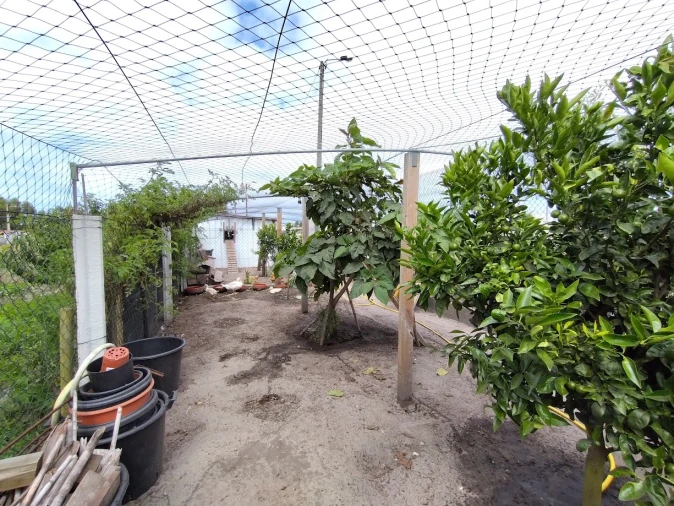 Moradia T2 para Venda em Vieira de Leiria Foto 34