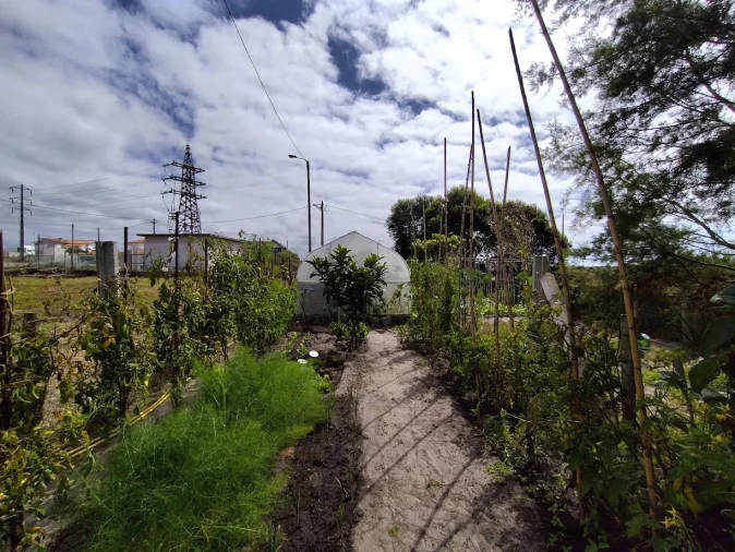 Moradia T2 para Venda em Vieira de Leiria Foto 35